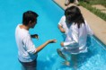 /album/fotogaleria/img-3403-jpg/